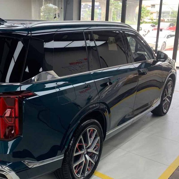 PreproPPF Car Clear Film PR-Q03 Trumpchi GS8 installed