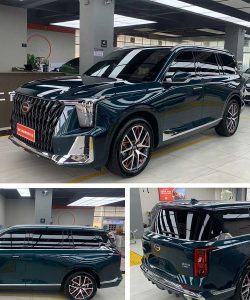 PreproPPF Car Clear Film PR-Q03 Trumpchi GS8 installed