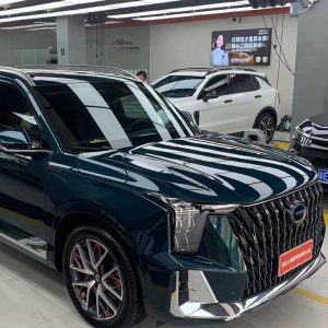 PreproPPF Car Clear Film PR-Q03 Trumpchi GS8 installed