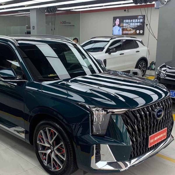 PreproPPF Car Clear Film PR-Q03 Trumpchi GS8 installed